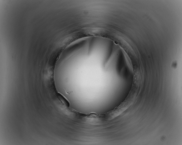 X0000101170284200807111059