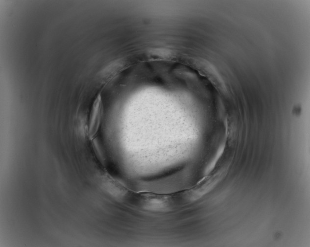 X0000101170285200807111059