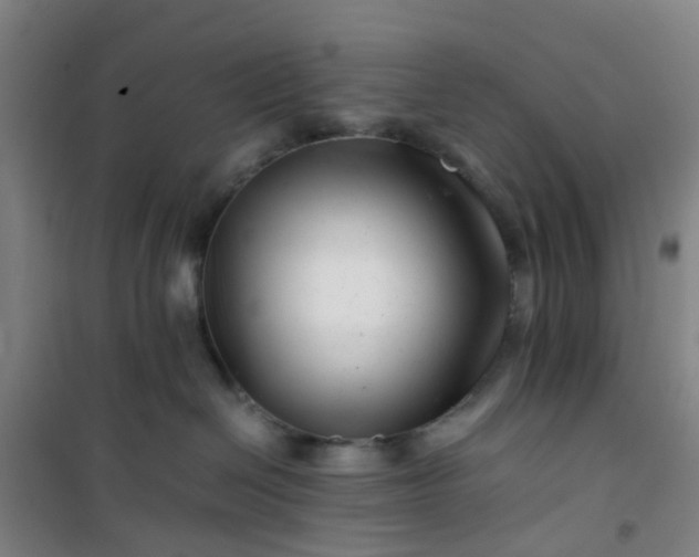X0000101170286200807111059