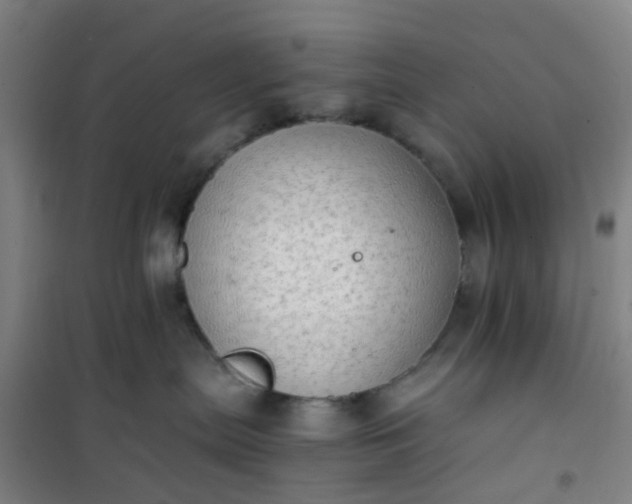 X0000101170287200807111059