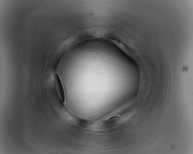 X0000101170288200807111059