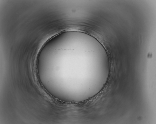 X0000101170289200807111058