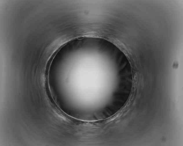X0000101170290200807111058