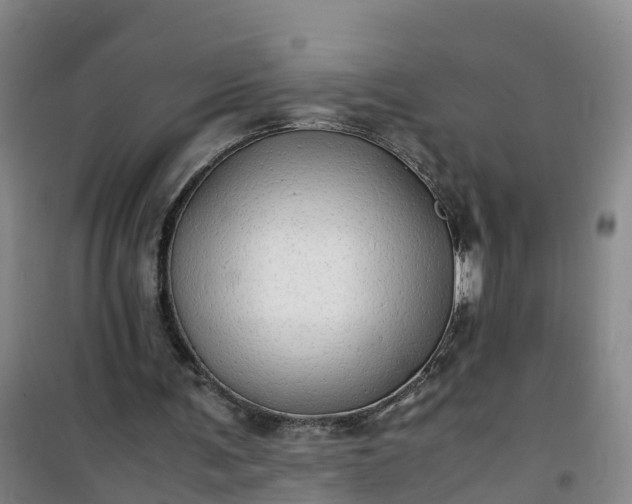 X0000101170291200807111058