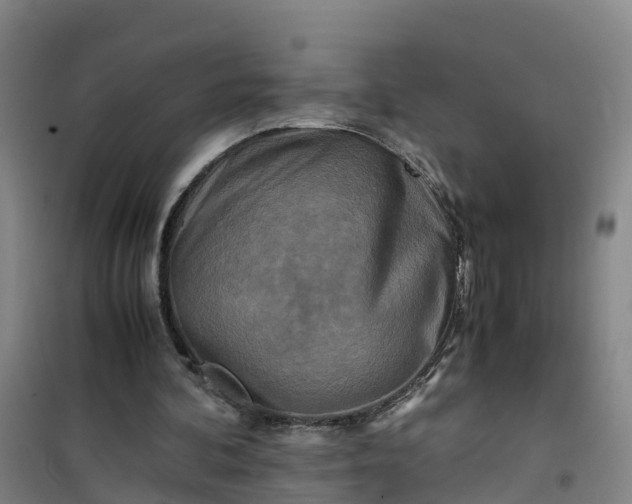 X0000101170292200807111058