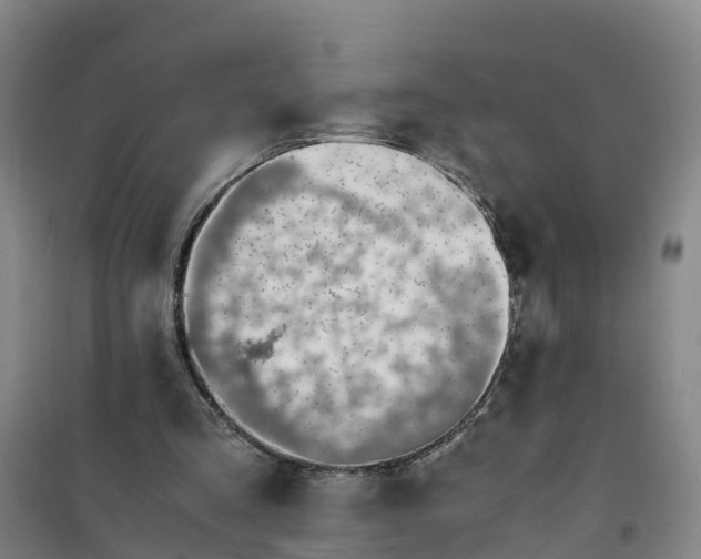X0000101170293200807111058