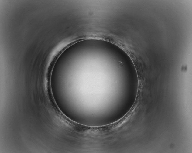 X0000101170294200807111058