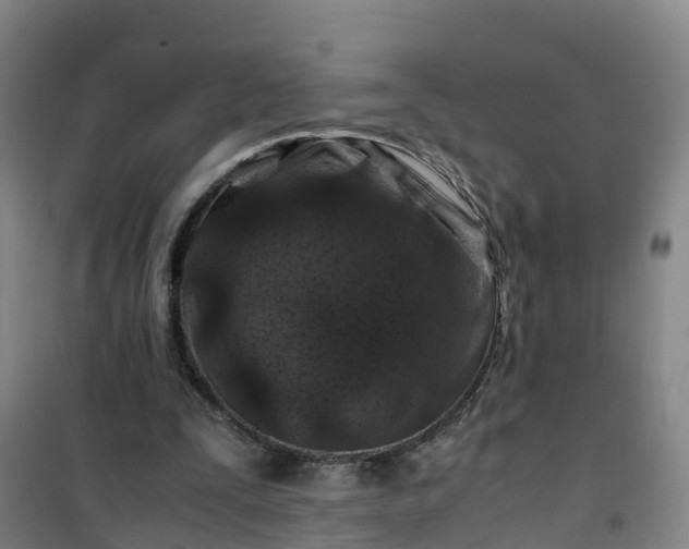 X0000101170295200807111058