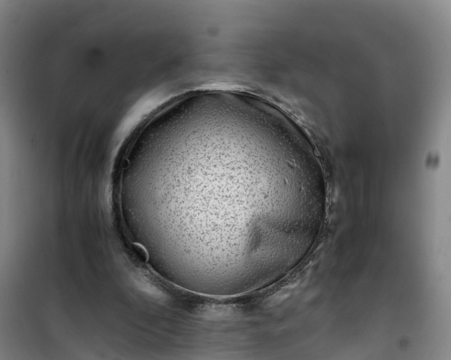 X0000101170296200807111058