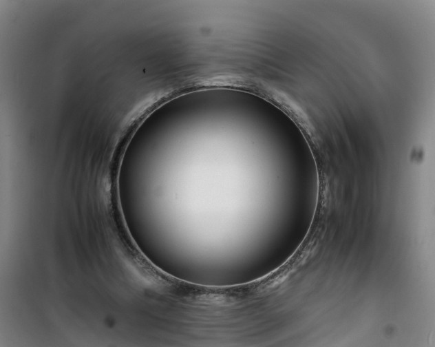 X0000101170298200807111058