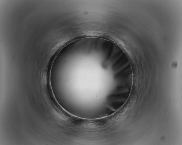 X0000101170299200807111058