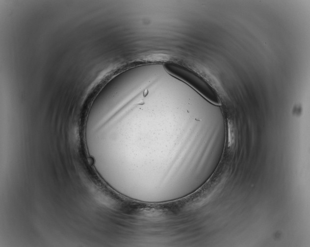 X0000101170300200807111058