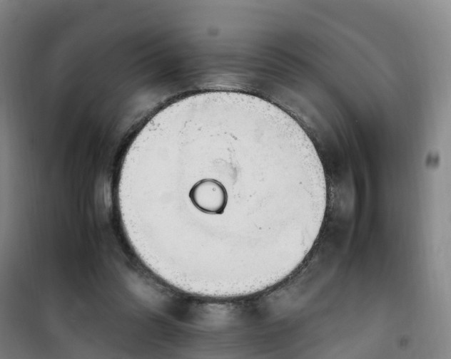 X0000101170302200807111058