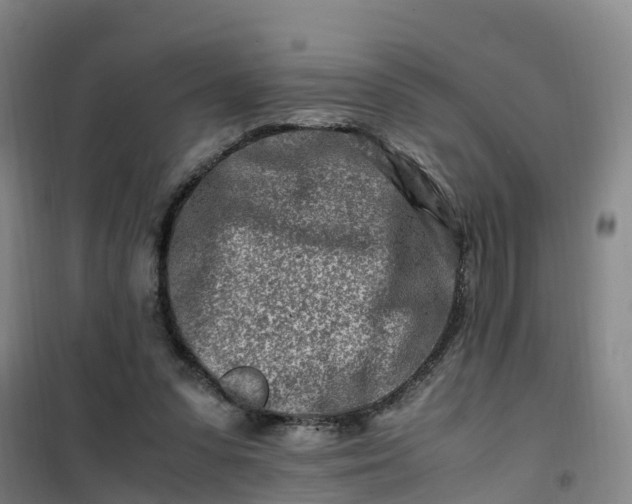 X0000101170303200807111058