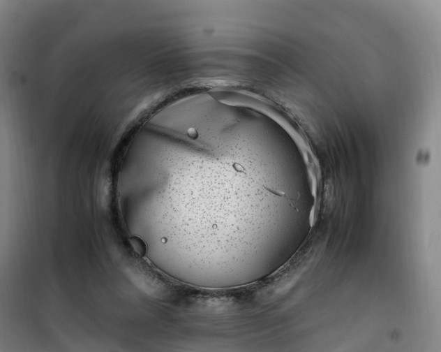 X0000101170304200807111058