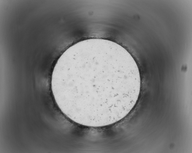 X0000101170305200807111058