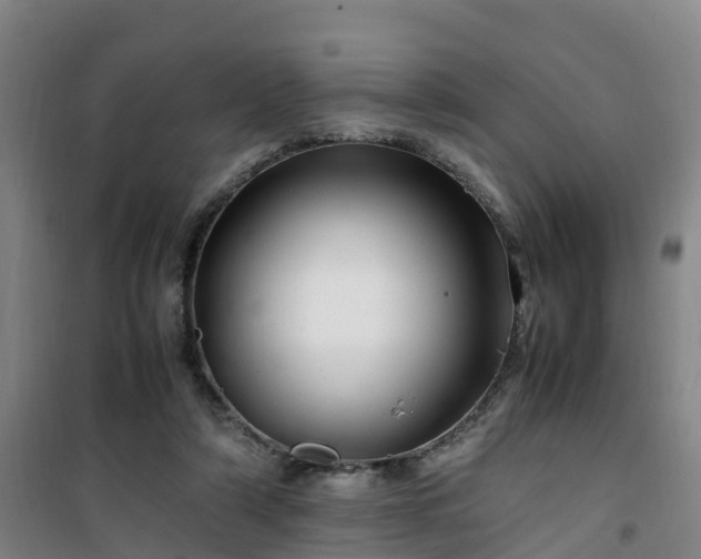 X0000101170306200807111058
