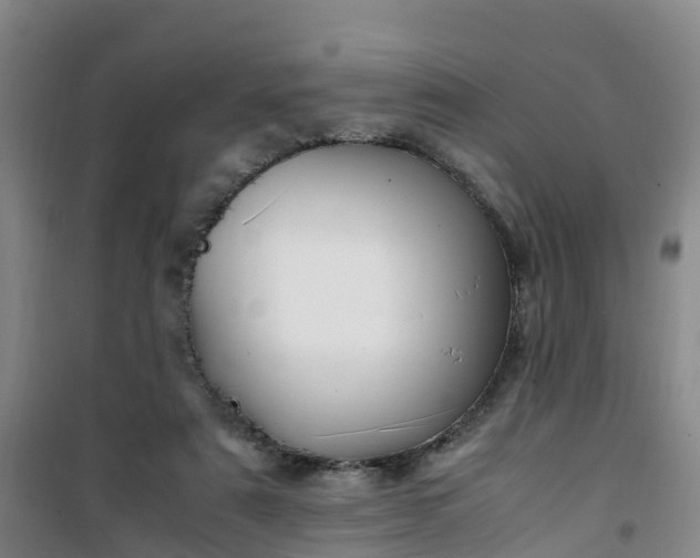 X0000101170307200807111058