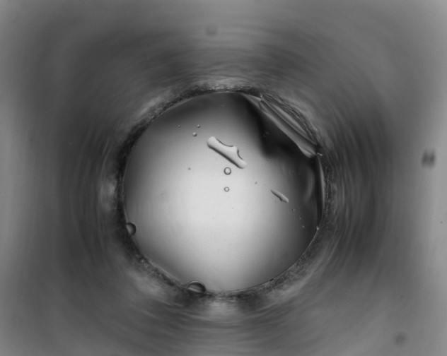 X0000101170308200807111058