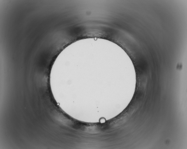 X0000101170309200807111058