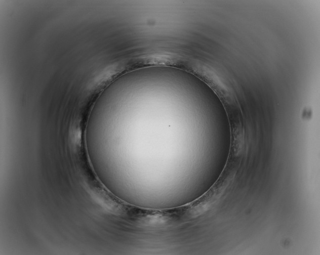 X0000101170310200807111058