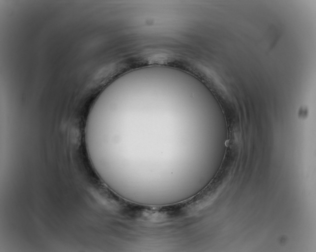 X0000101170311200807111058