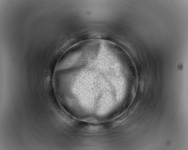 X0000101170314200807111058