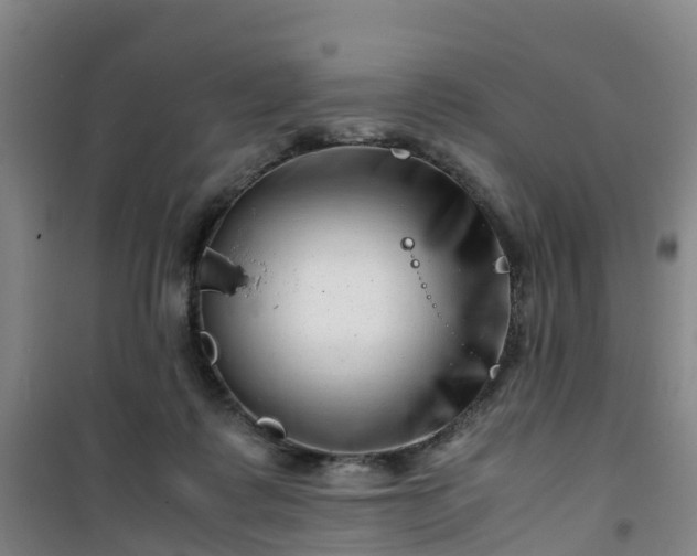 X0000101170315200807111058