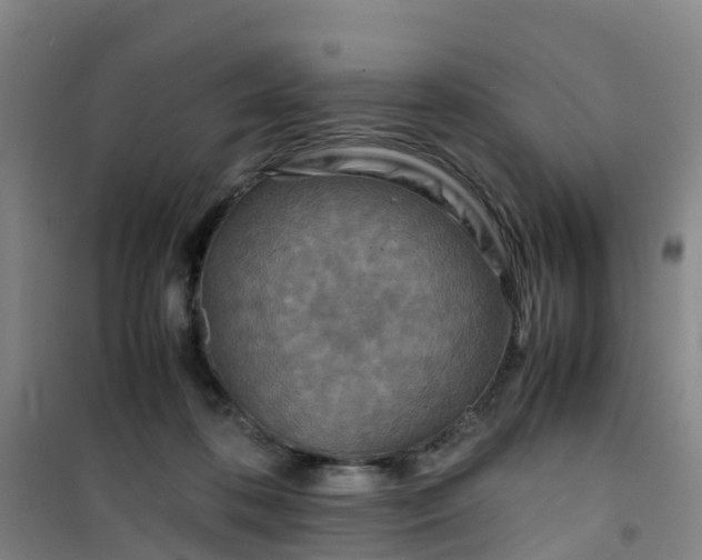 X0000101170316200807111058