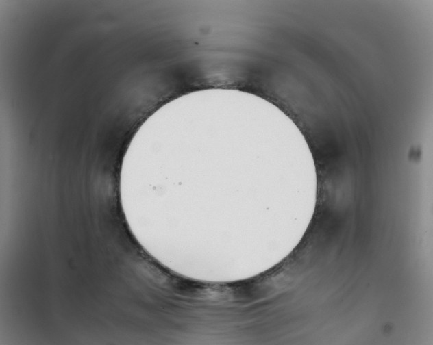 X0000101170317200807111058