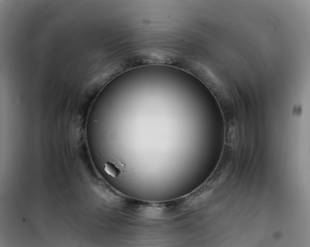 X0000101170318200807111058