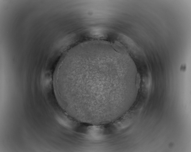 X0000101170320200807111058