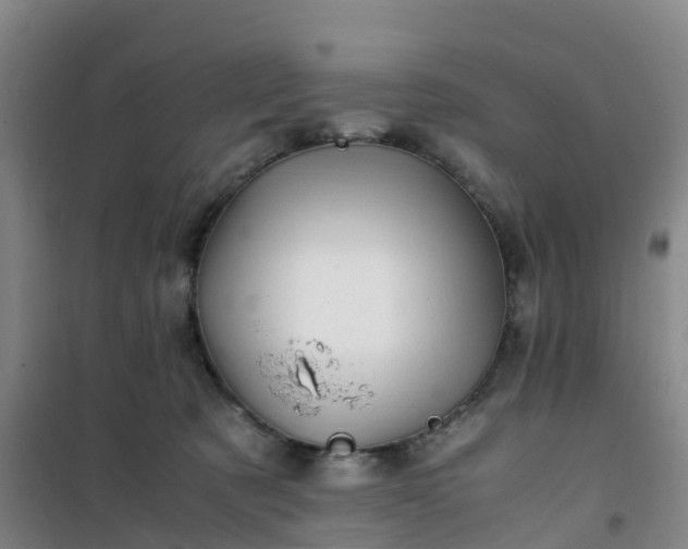 X0000101170321200807111058