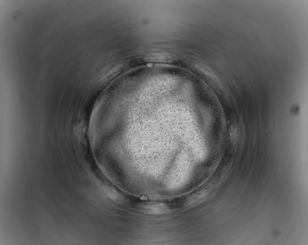 X0000101170322200807111058