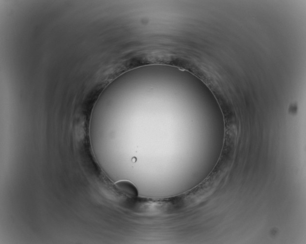 X0000101170323200807111058