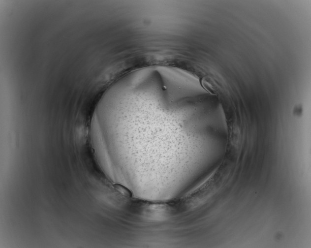 X0000101170324200807111058