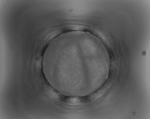 X0000101170325200807111058