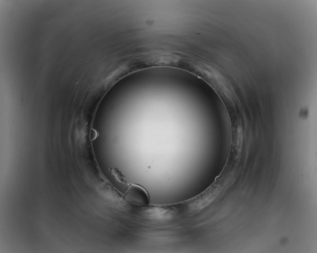 X0000101170326200807111058