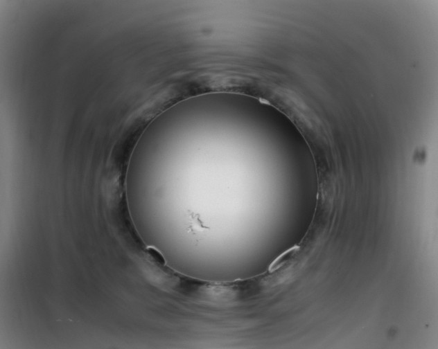 X0000101170327200807111057