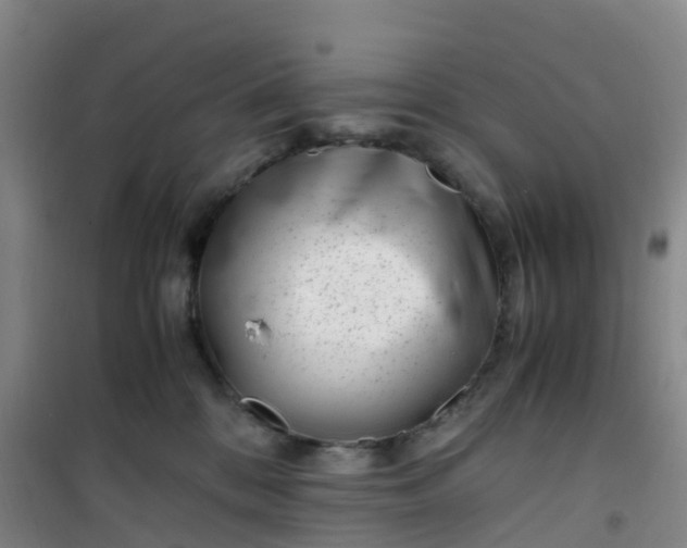 X0000101170328200807111057