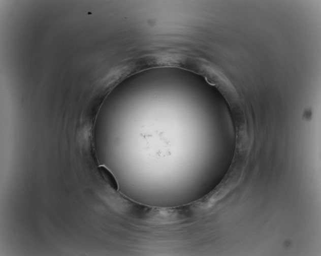 X0000101170329200807111057