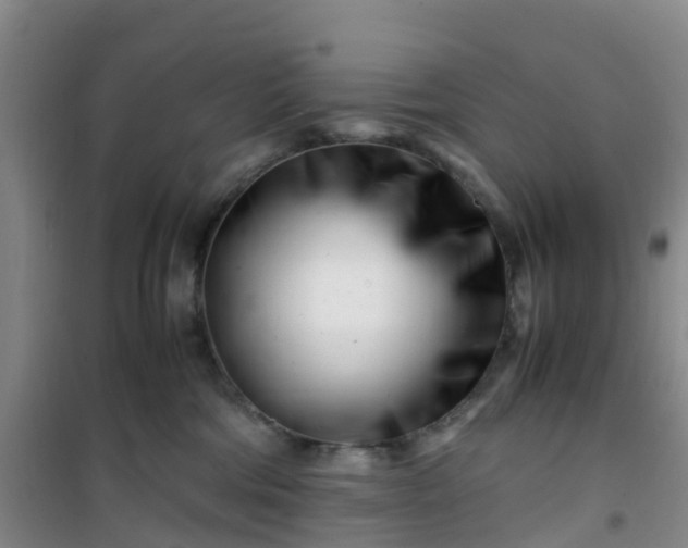 X0000101170330200807111057