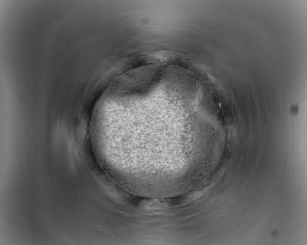 X0000101170331200807111057