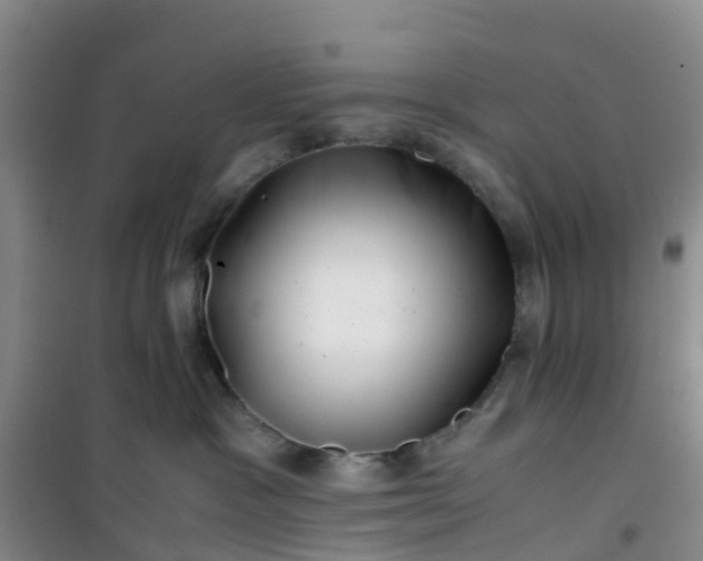 X0000101170333200807111057