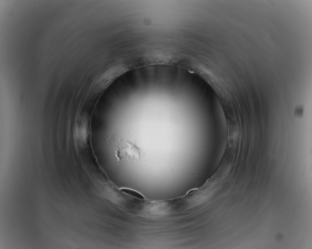 X0000101170334200807111057