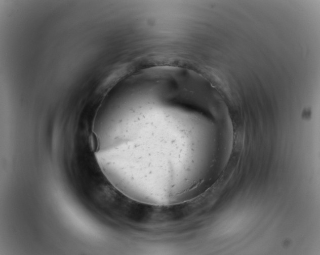 X0000101170335200807111057
