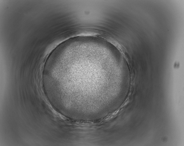 X0000101170337200807111057