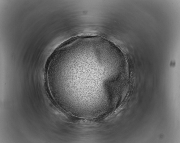 X0000101170338200807111057