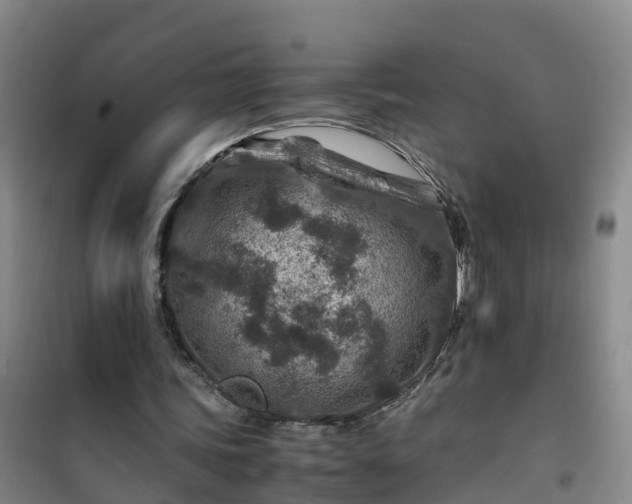X0000101170339200807111057