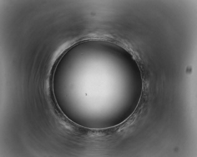 X0000101170340200807111057